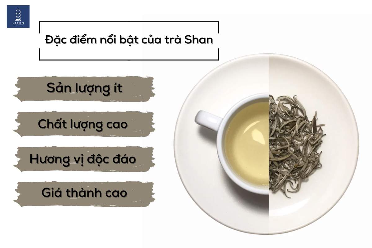 Những đặc điểm nổi bật của trà Shan