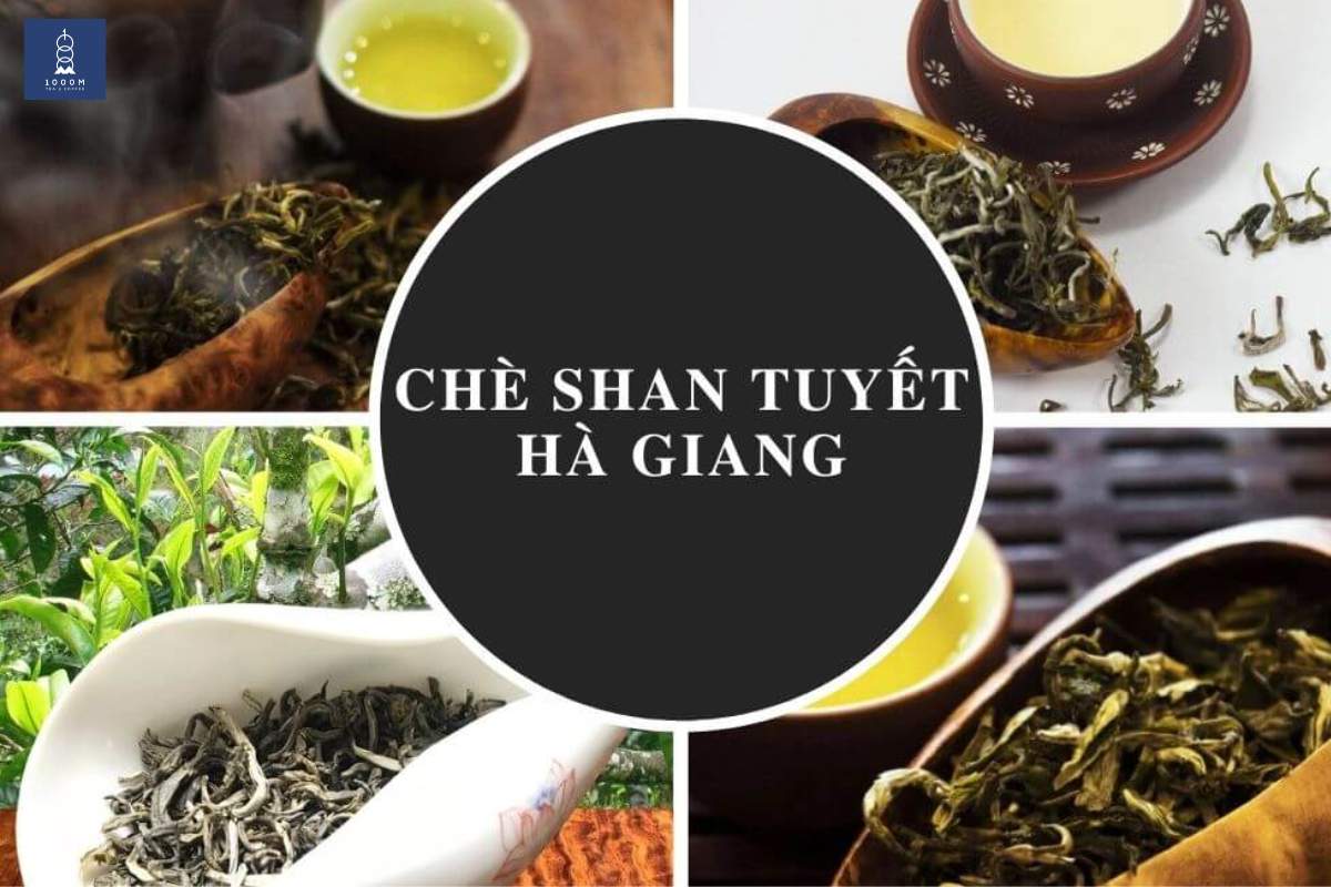 Trà Shan có giá thành đắt đỏ, khó mua