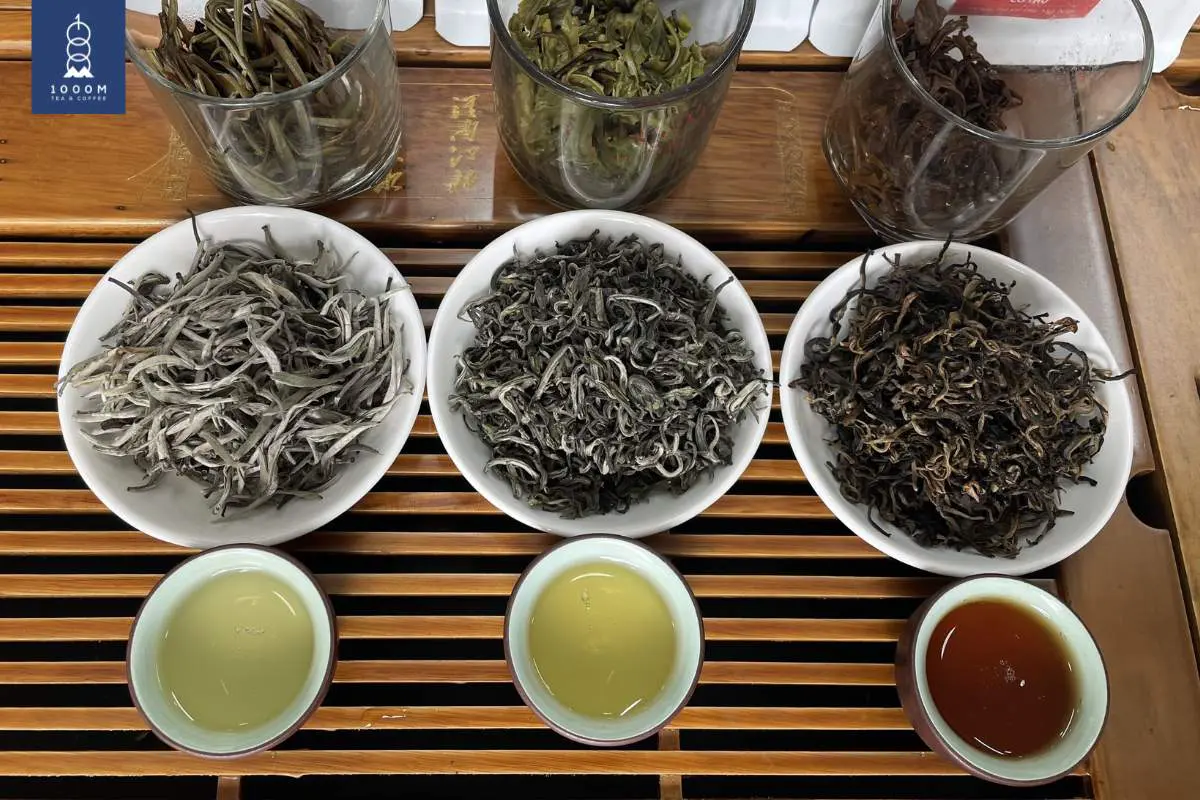 Trà Shan Tuyết Giá Bao Nhiêu? Bí Quyết Lựa Chọn Trà Ngon 2 Phân loại trà Shan Tuyết