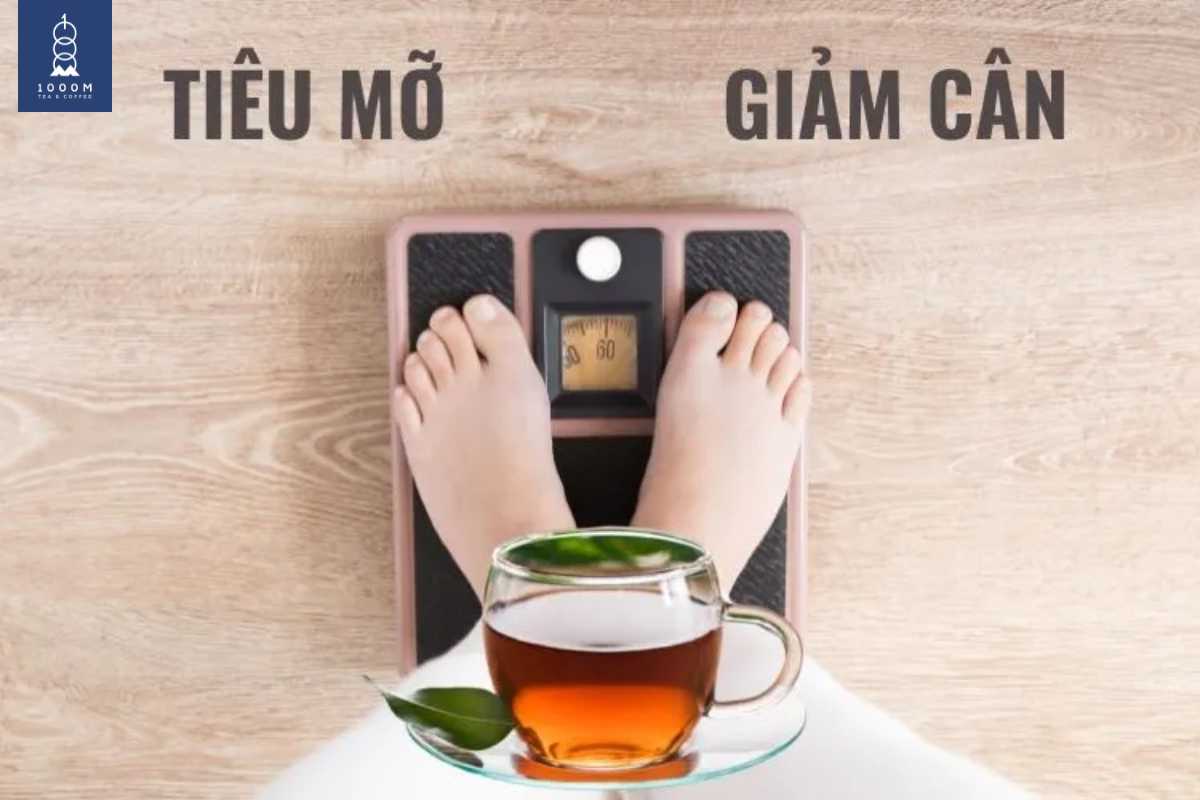  Tác dụng của trà Shan Tuyết cổ thụ