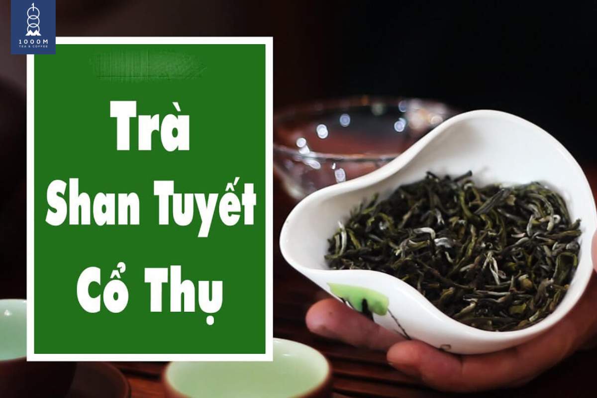 Tác dụng của trà Shan Tuyết