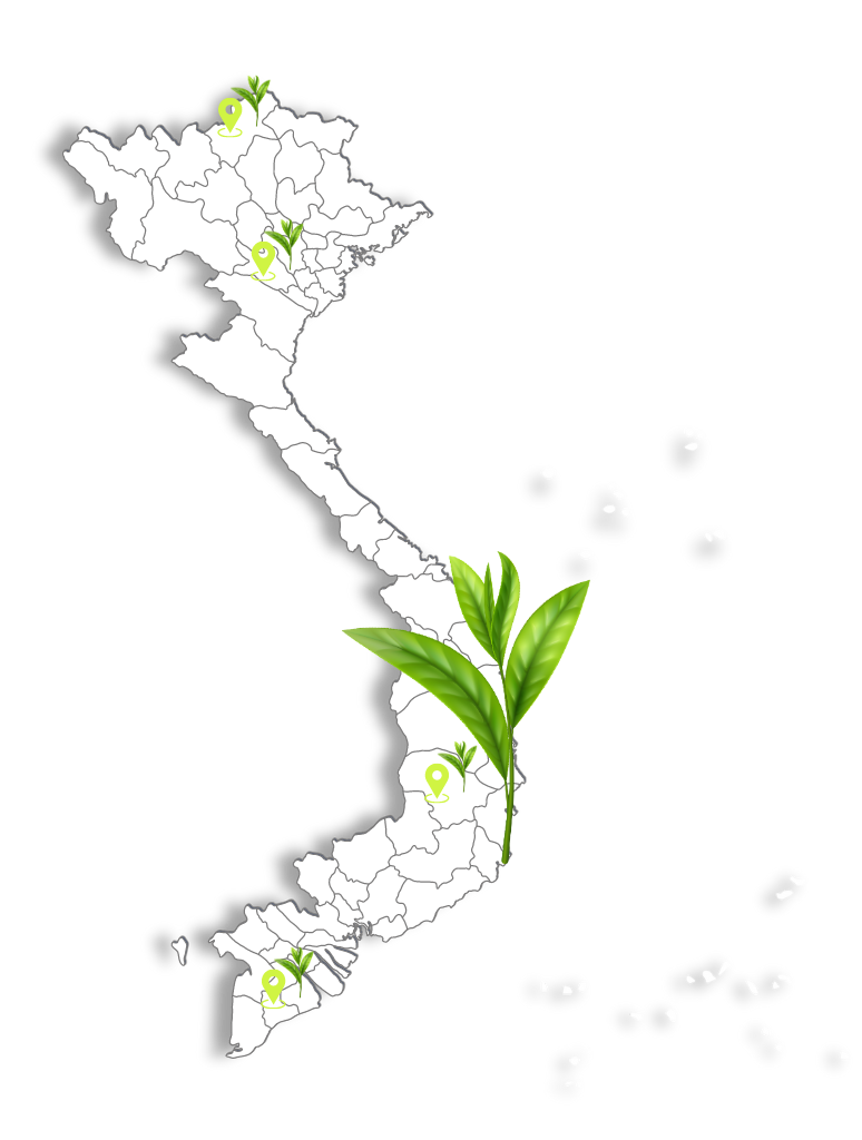 Ban do tra Viet Nam 1