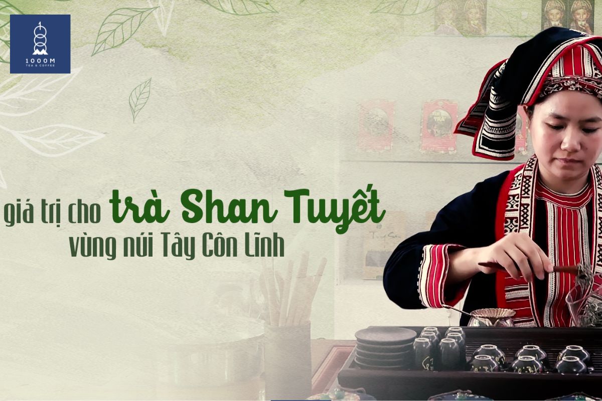 Giá trị của trà Shan Tuyết Tây Côn Lĩnh