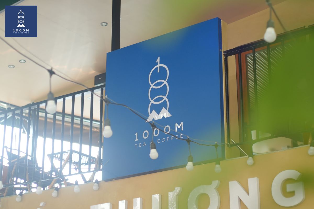 Địa điểm và thời gian 1000M khai trương