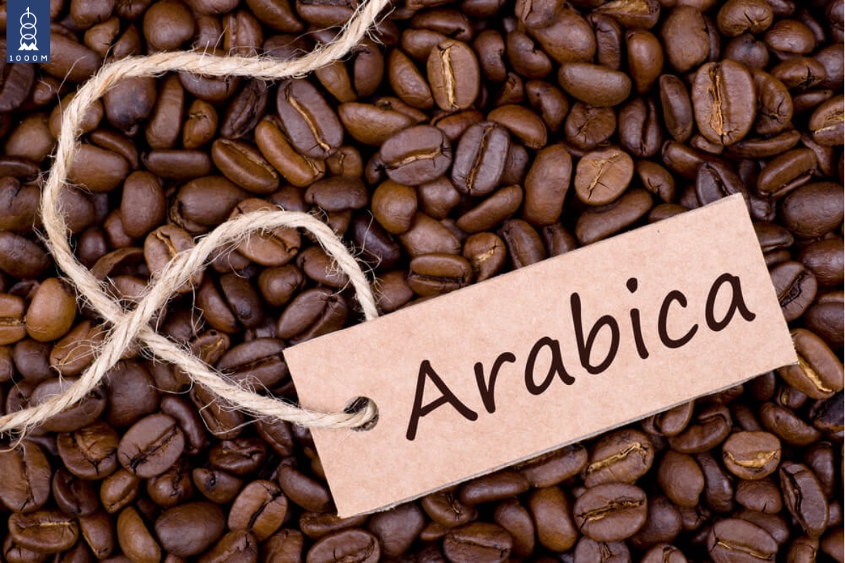 Hạt cà phê Arabica chất lượng cao